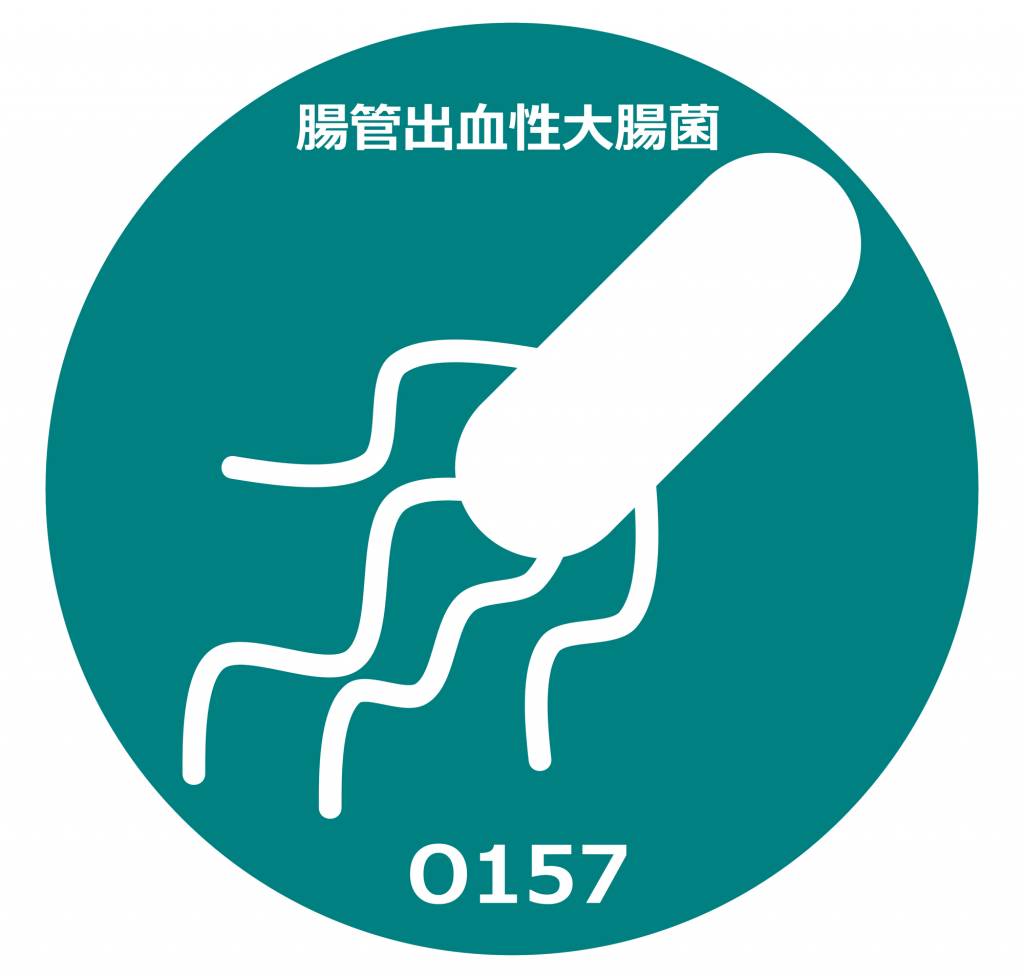 腸管出血性大腸菌