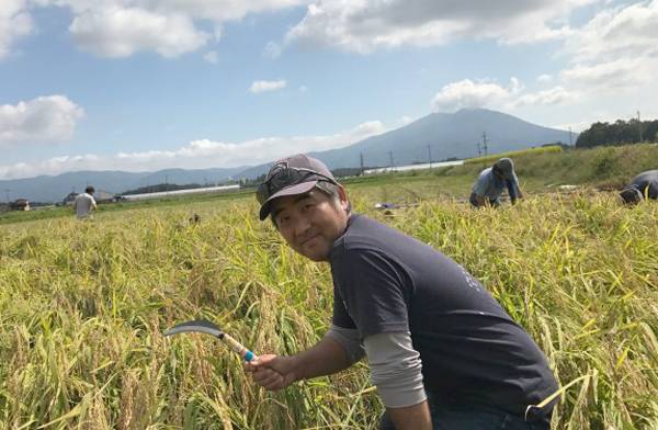 農家から直仕入れ